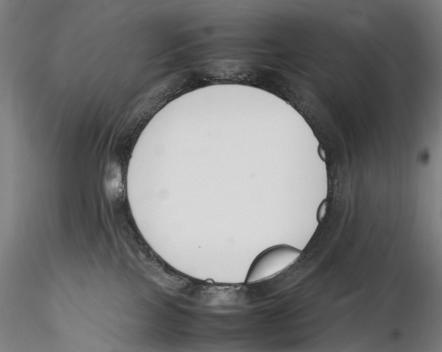 X0000115720089200912101438