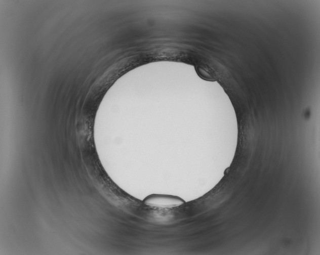 X0000115720091200912101438