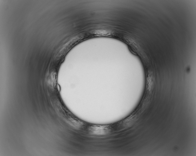 X0000115720093200912101438