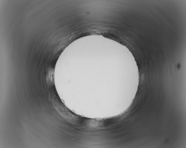 X0000115720094200912101438