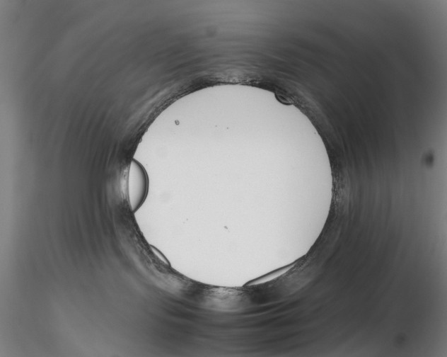 X0000115720095200912101438