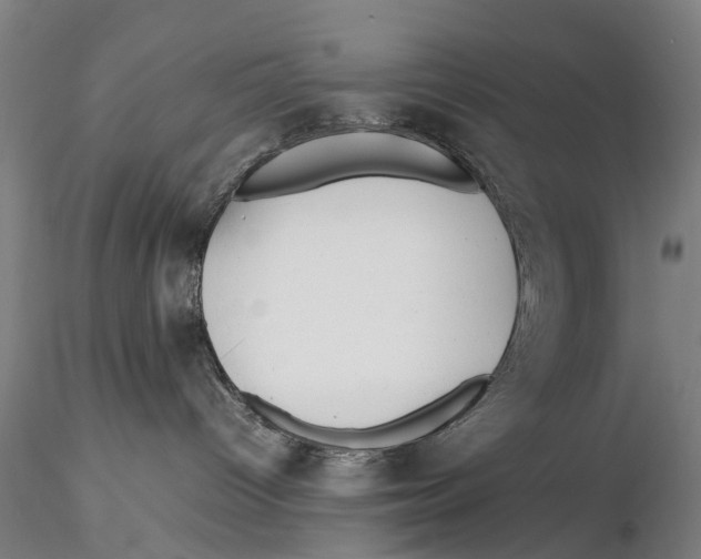 X0000115720096200912101438