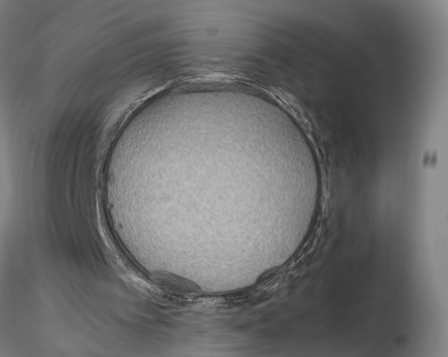 X0000115720097200912101438
