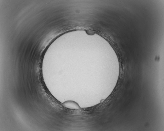 X0000115720098200912101438
