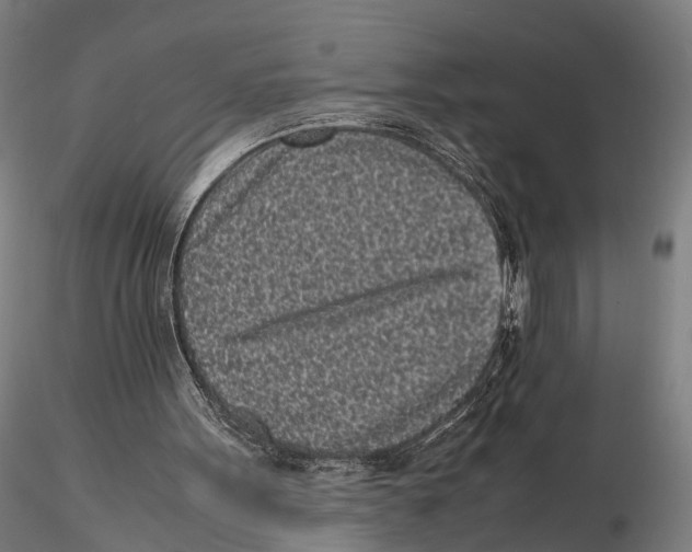 X0000115720099200912101438