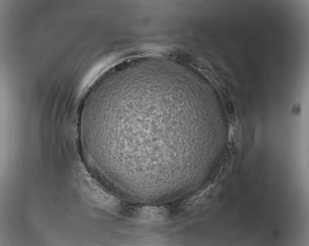 X0000115720101200912101437