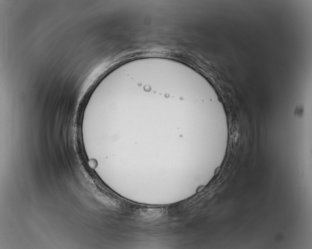 X0000115720102200912101437