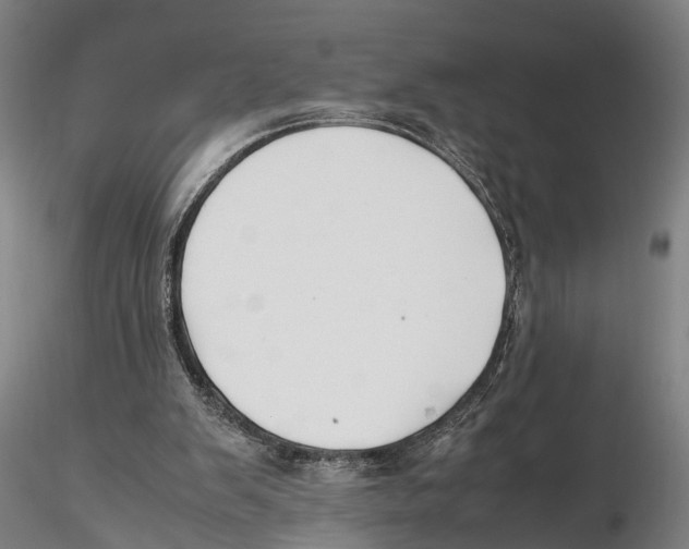 X0000115720103200912101437