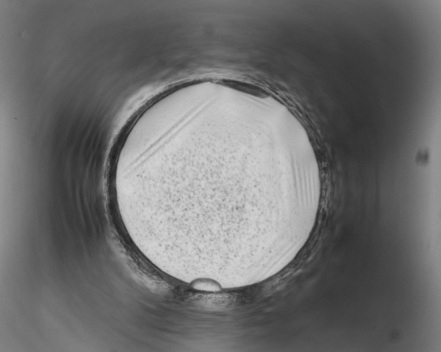 X0000115720104200912101437