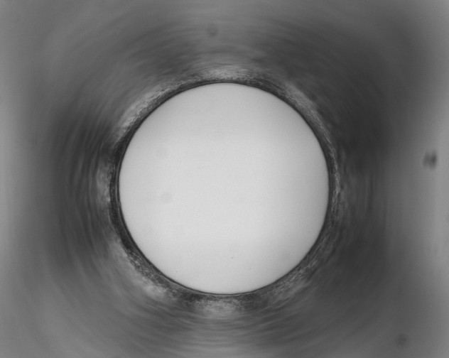 X0000115720106200912101437
