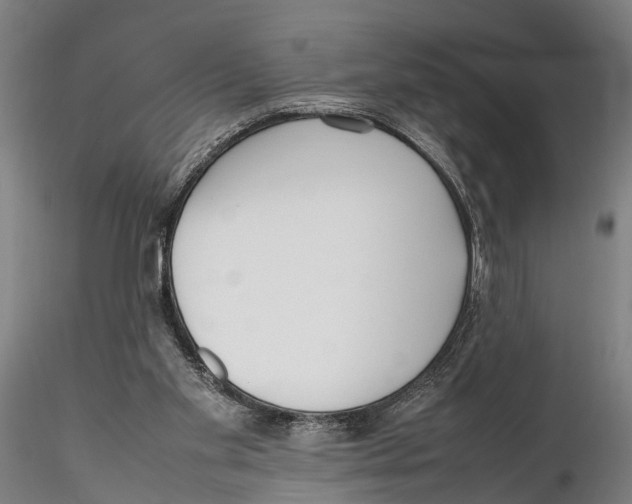 X0000115720109200912101437