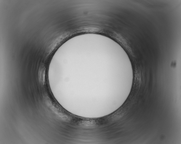 X0000115720110200912101437