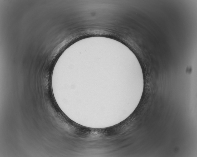 X0000115720111200912101437