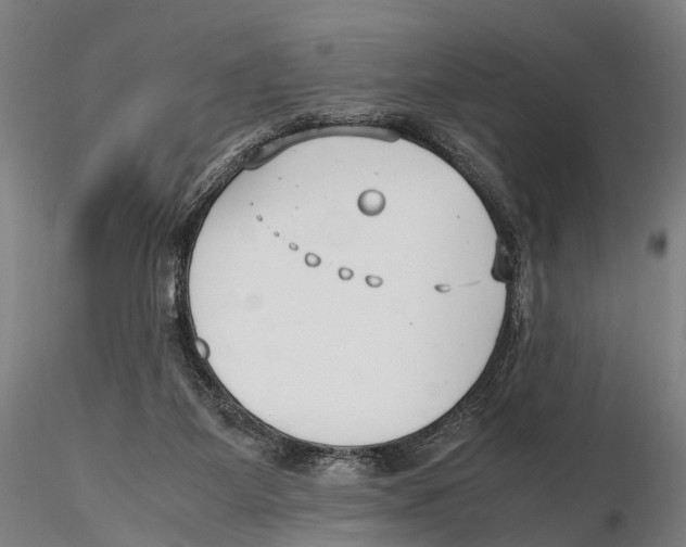 X0000115720115200912101437