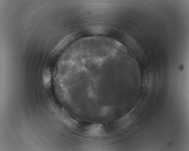 X0000115720124200912101437