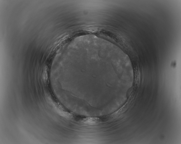 X0000115720128200912101437