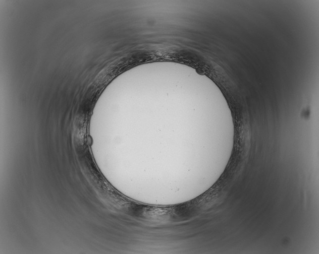 X0000115720129200912101437