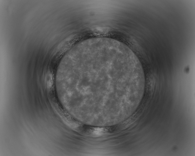 X0000115720130200912101437
