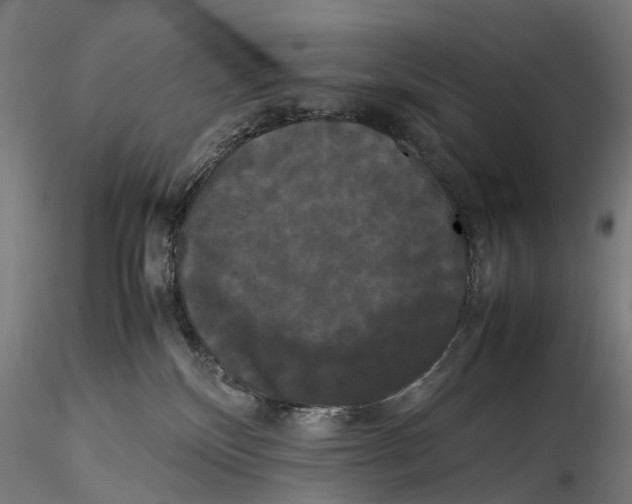 X0000115720136200912101437