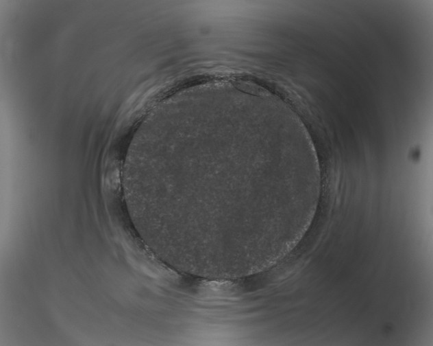 X0000115720137200912101437
