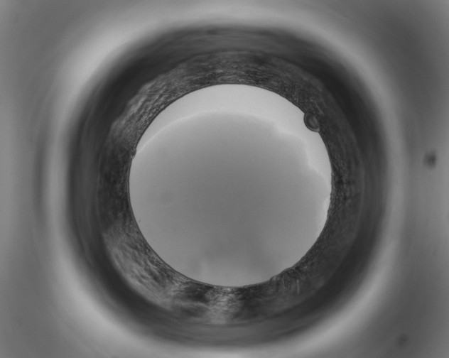 X0000115720143200912101437
