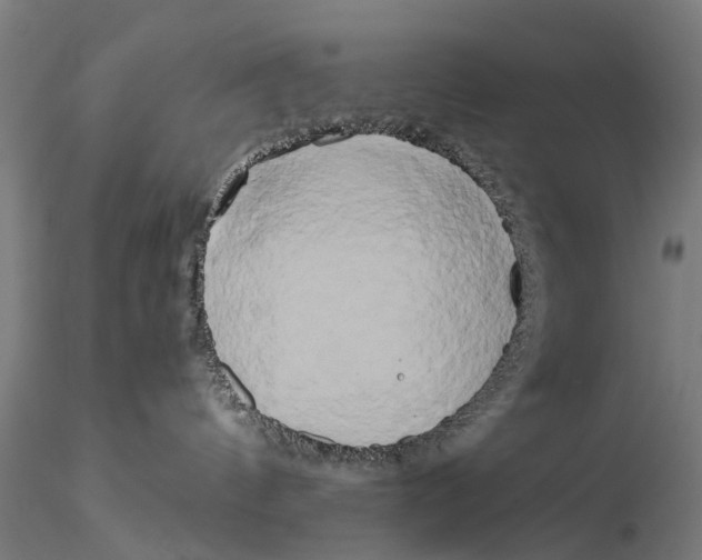 X0000115720144200912101437