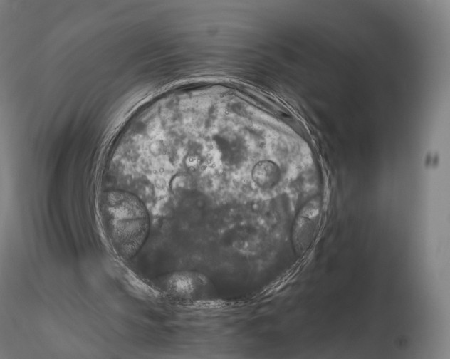 X0000115720145200912101436