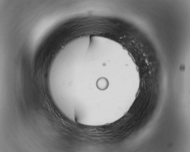 X0000115720146200912101436