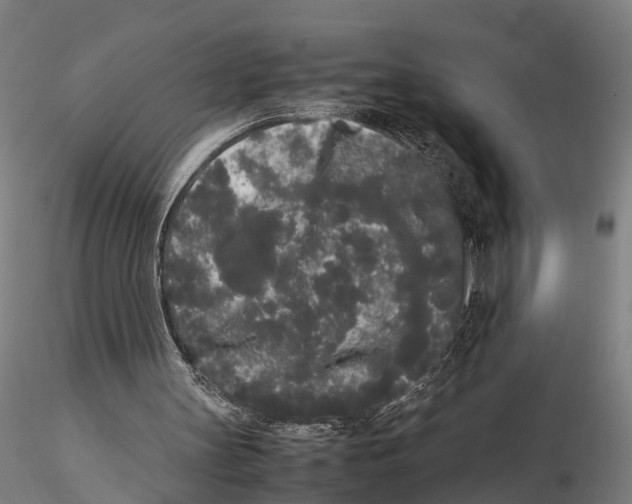 X0000115720147200912101436