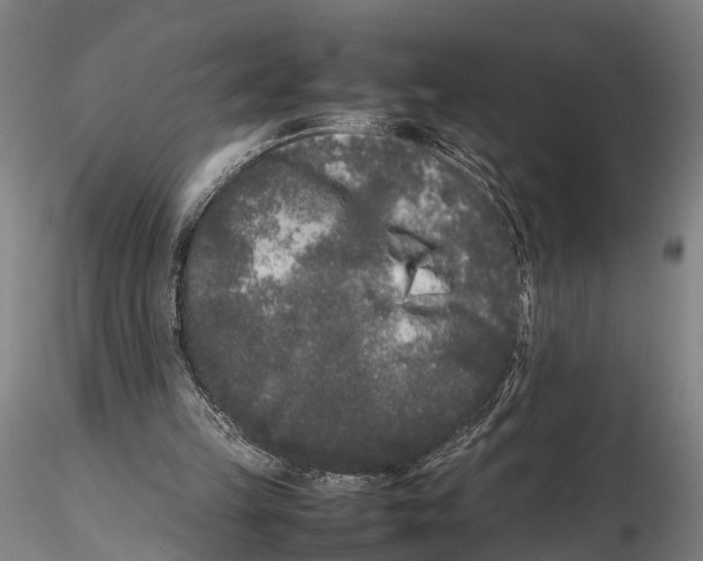 X0000115720149200912101436