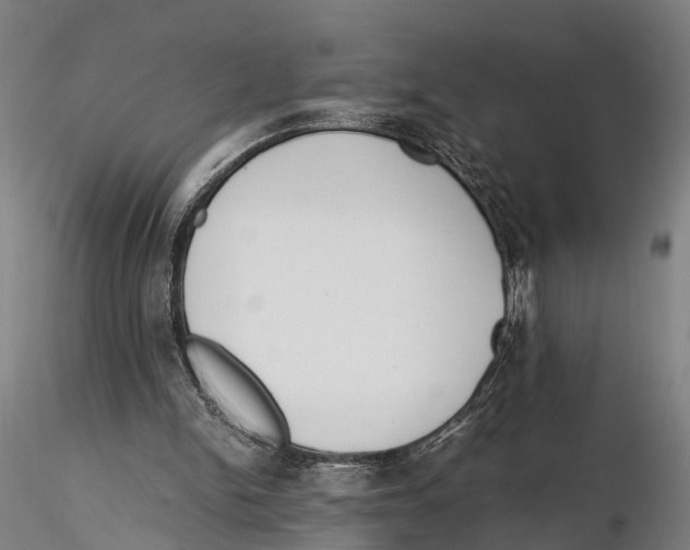 X0000115720150200912101436