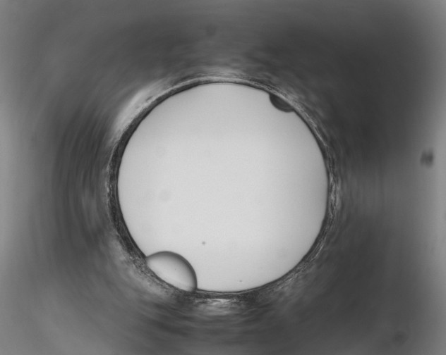 X0000115720151200912101436