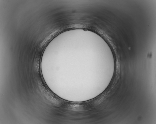 X0000115720153200912101436