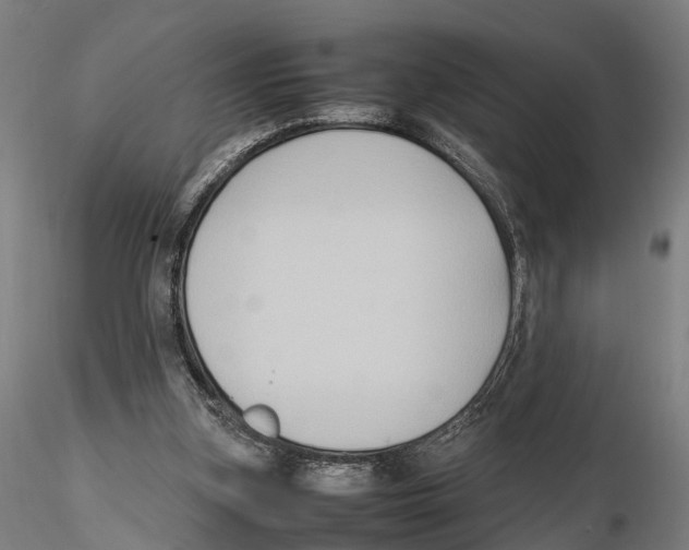 X0000115720155200912101436