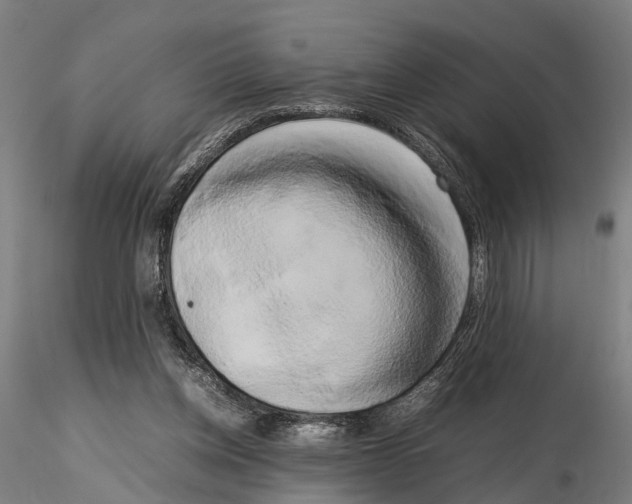 X0000115720158200912101436