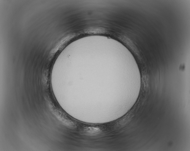 X0000115720159200912101436