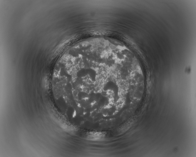 X0000115720161200912101436