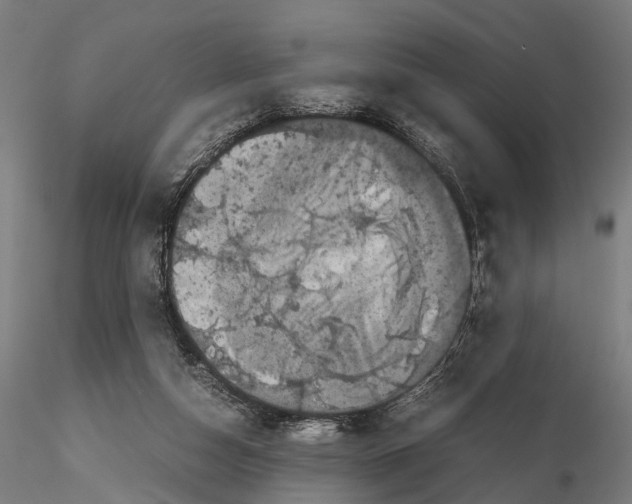 X0000115720162200912101436