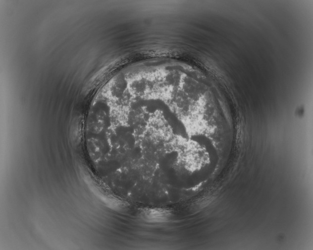 X0000115720165200912101436