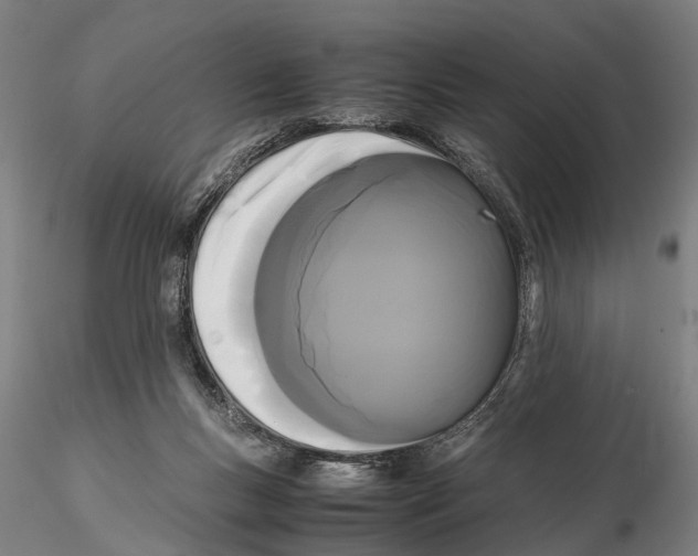 X0000115720167200912101436