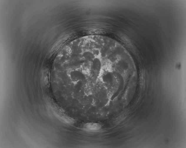 X0000115720169200912101437