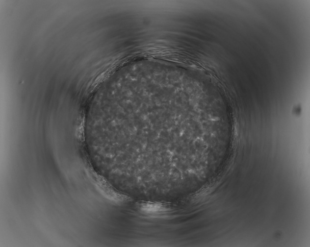 X0000115720177200912101437