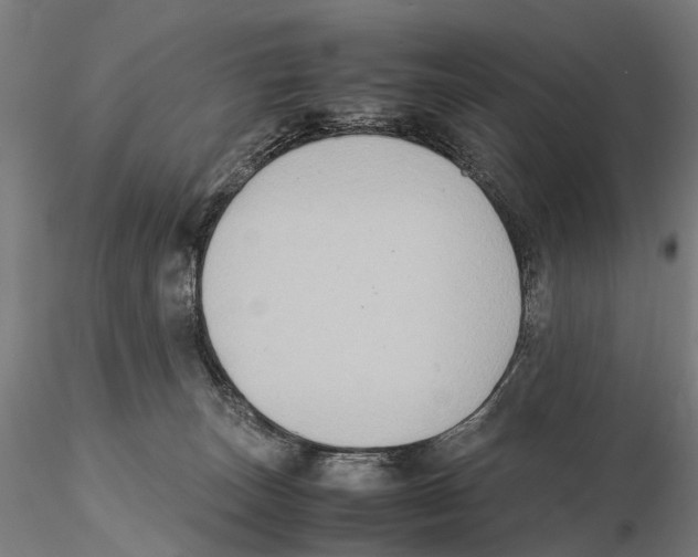 X0000115720179200912101437