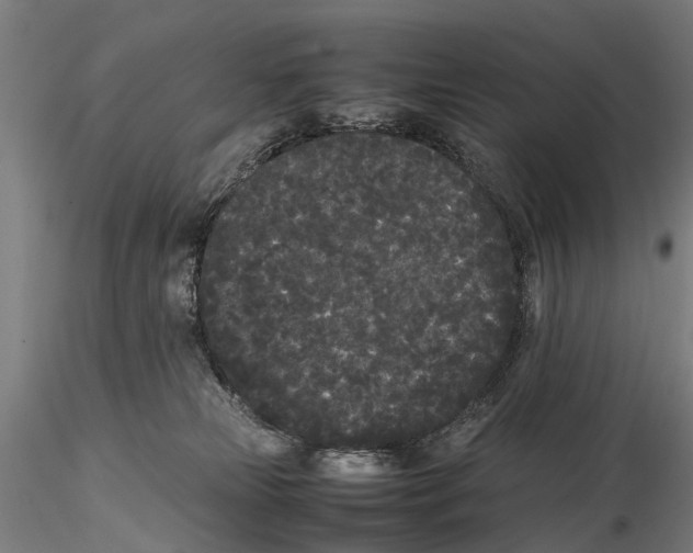X0000115720181200912101437
