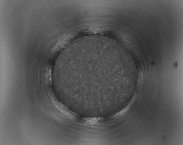 X0000115720182200912101437