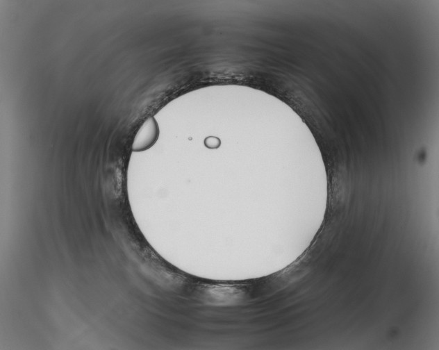 X0000115720183200912101437