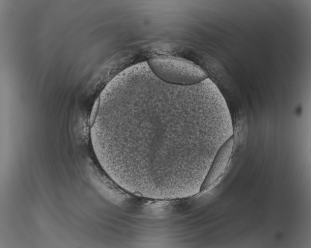 X0000115720186200912101437