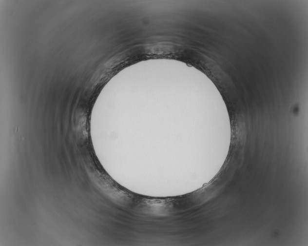 X0000115720187200912101437