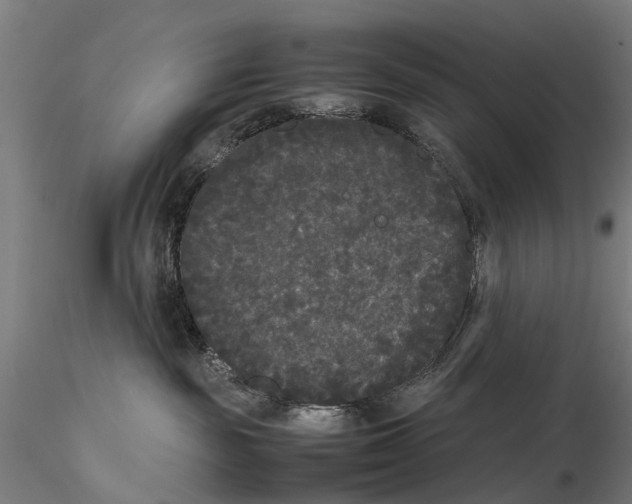 X0000115720189200912101437