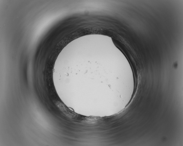 X0000115720190200912101437